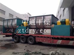 WLDH系列臥式螺帶混合機